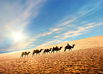 Hebei Haiyuan Pipe Fittings Co., Ltd.